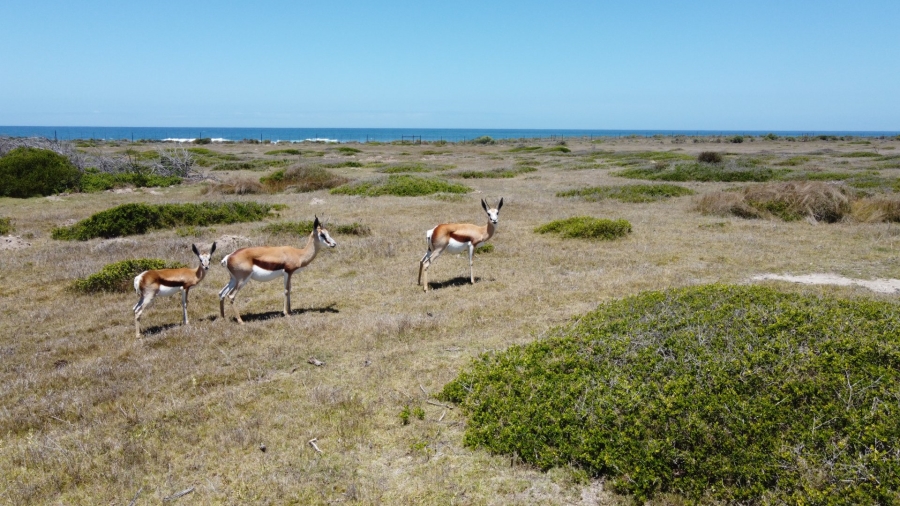 Commercial Property for Sale in Mossel Bay Rural Western Cape